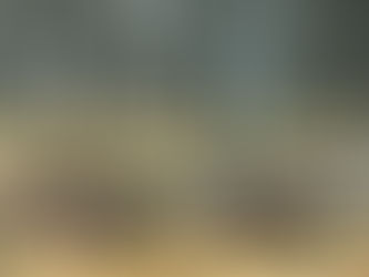 氷雨 野生の鹿たち 雨に打たれて