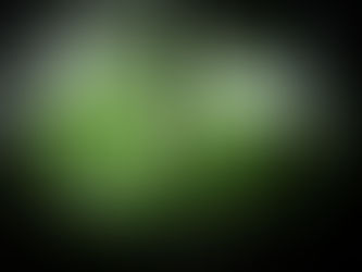 瞑想的な夏です。蓼科高原標高1700メートル。