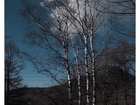 春の陽射し 蓼科高原