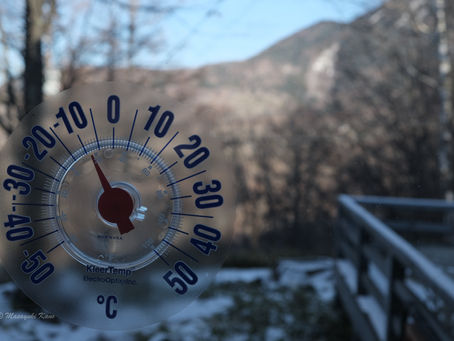 今日も朝から晴れました。