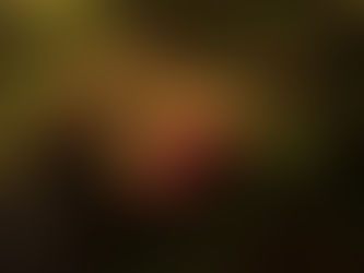 紅葉は寂しかりけり