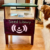 The Rewild Eastlake native plant seed library