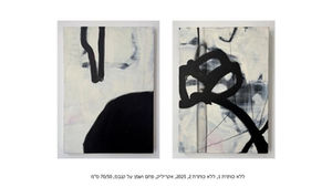 עדי ט.הופמן