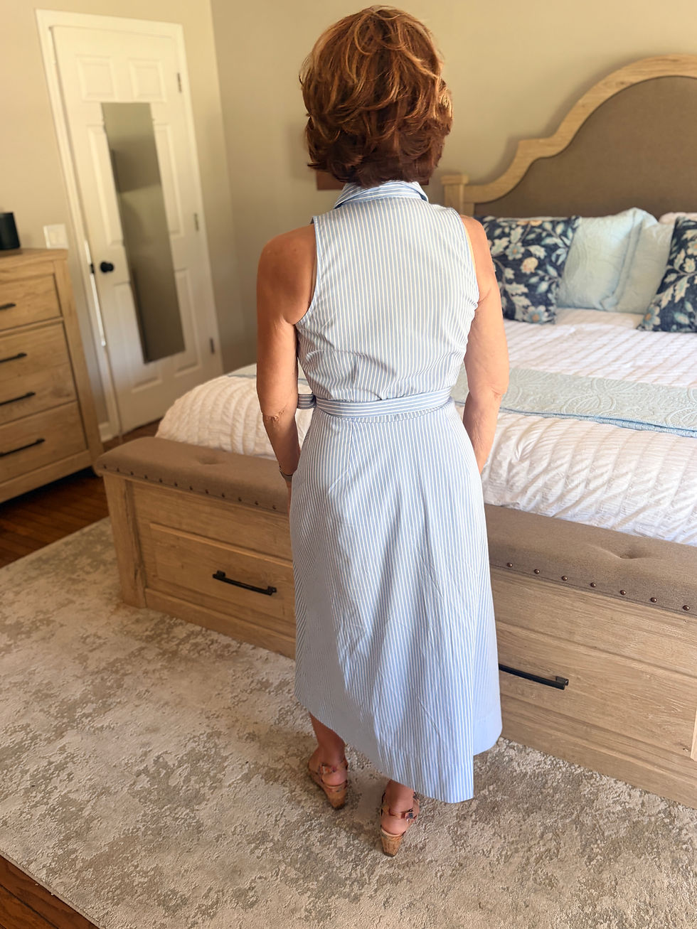 Ann Taylor Sleeveless Midi Dress (2P)