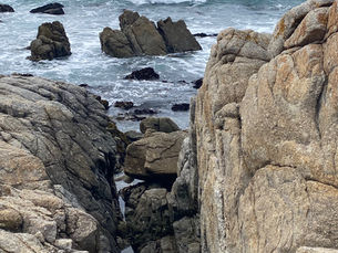 Monterey/ Carmel, Ca.. Endless miles of rocky, shoreline, produce fields, shops, and golf courses.
