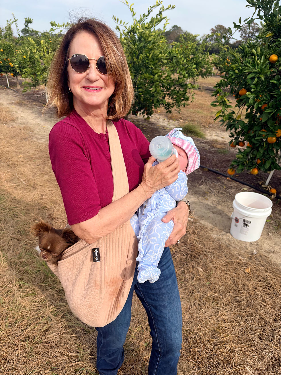 woman carrying a dog pouch with a dog in it while feeding a baby