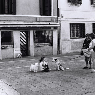Journal photographique à Venise