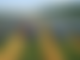 Agri-PV Investment Vergleich: Rendite und Steuervorteile 2026