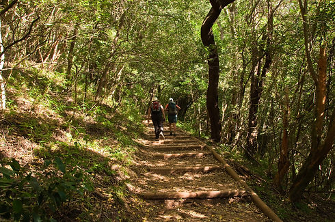 Hiking Trail