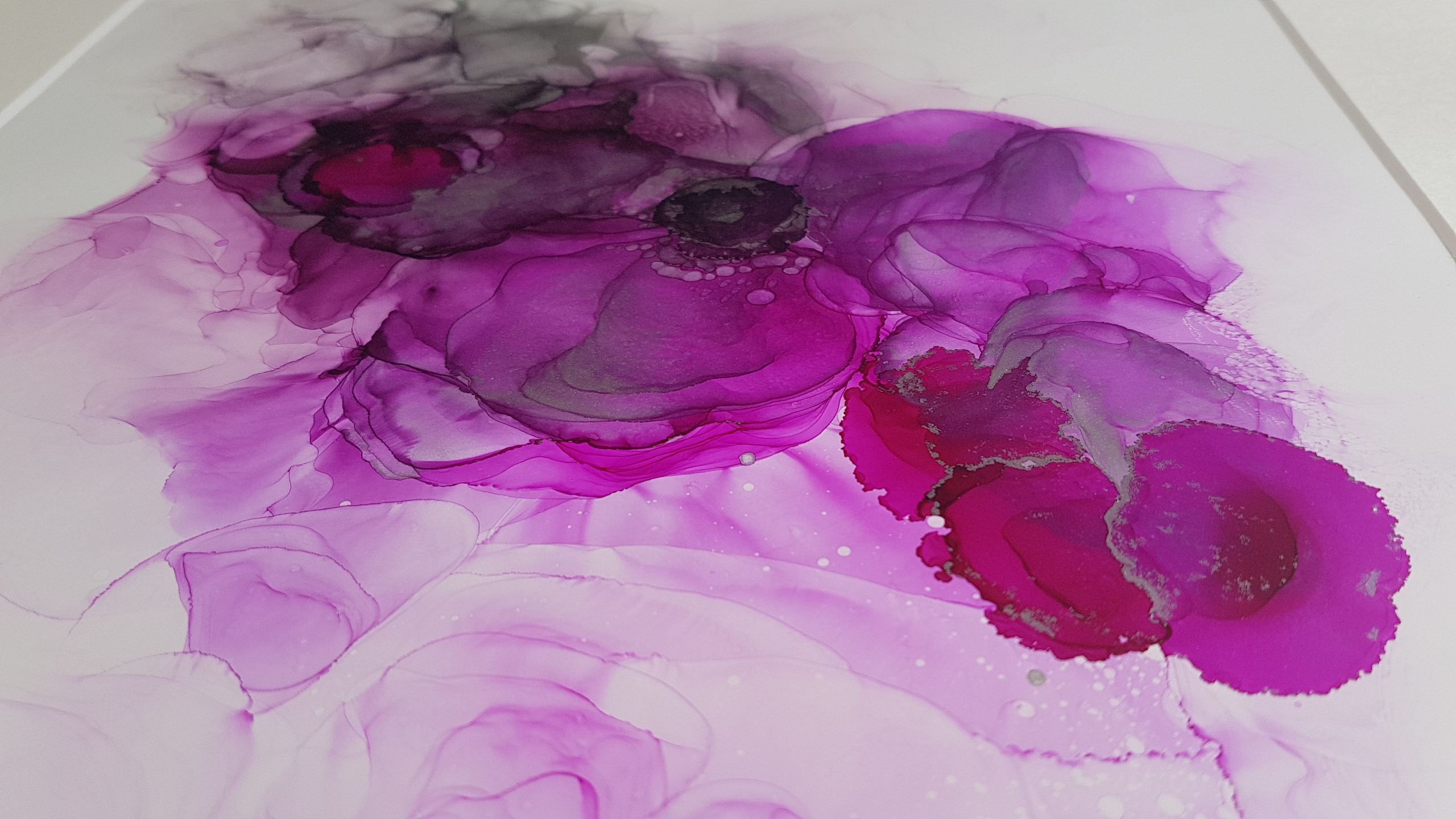 peonies (2)