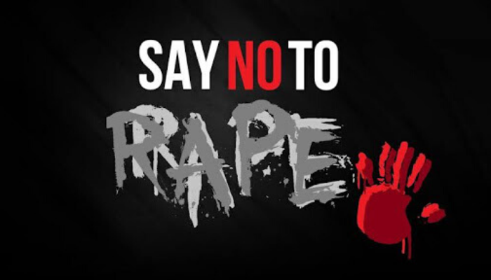 How to end rape, domestic violence: Practical steps by NAWOJ