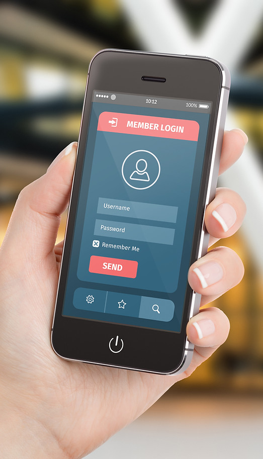Mobile Login Screen