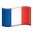 BANDERA FRANCIA