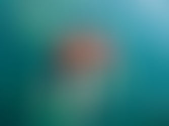 A Guide to the Best Snorkeling Spots in Jamaica