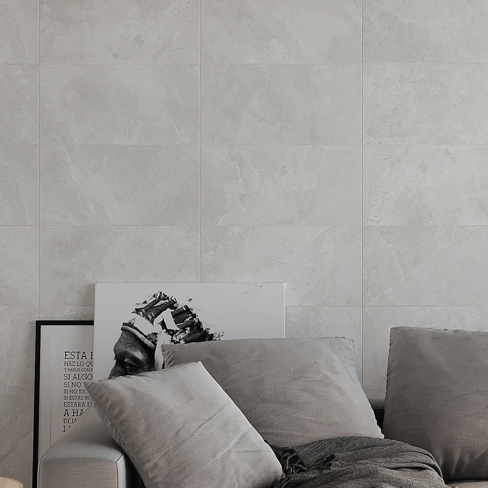 Intérieur moderne avec canapé et coussins gris