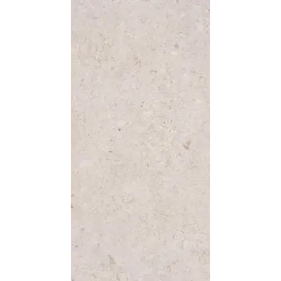 Photo des carreaux en porcelaine VENEZIA MAT OS 60x120 CM