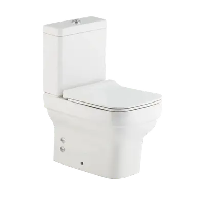 Toilettes blanches