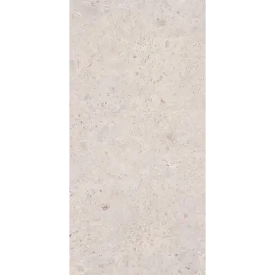 Photo des carreaux en porcelaine VENEZIA MAT OS 60x120 CM
