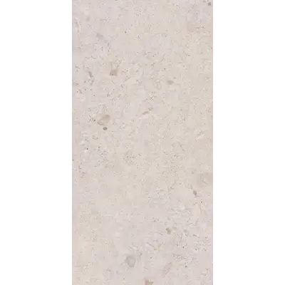 Photo des carreaux en porcelaine VENEZIA MAT OS 60x120 CM