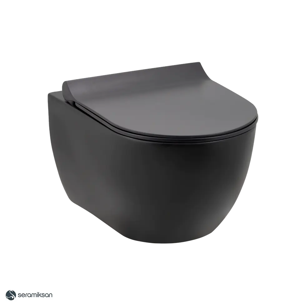 Toilette suspendue noire