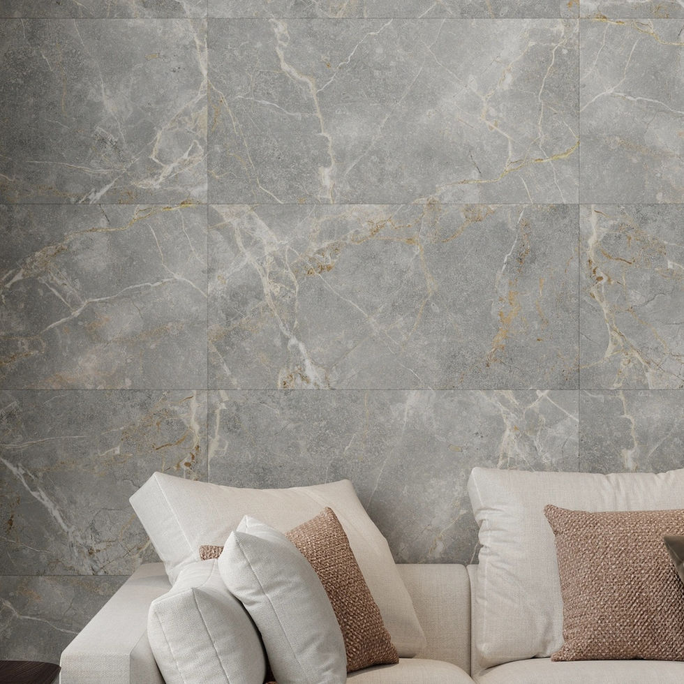 Carreaux Harmony Gris Clair 60x120 CM derrière un canapé