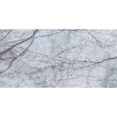 Photo des carreaux en porcelaine RIVER GRIS 60x120 CM
