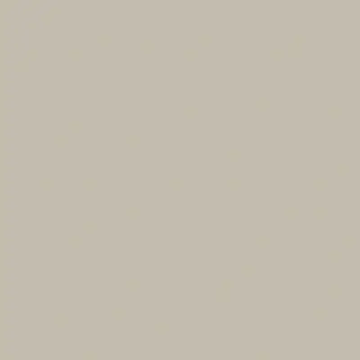 Couleur gris-beige clair