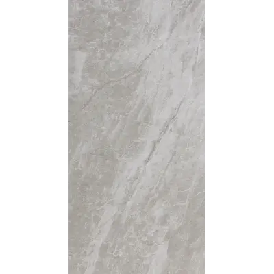 Photo des carreaux en porcelaine MILANO GRIS 60x120 CM