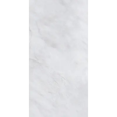 Dalle Pietra Gris Clair