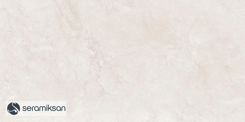 Carrelage Harmony Gris Clair 60x120 CM
