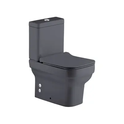 Toilette grise