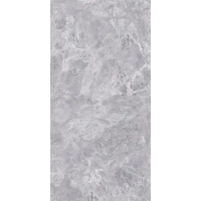 Photo des carreaux en porcelaine SILVER GRIS 60x120 CM