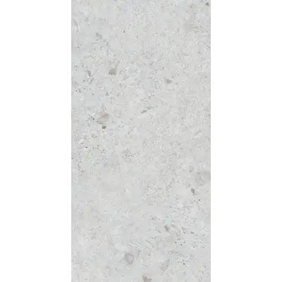 Photo des carreaux en porcelaine VENEZIA MAT GRIS 60x120 CM