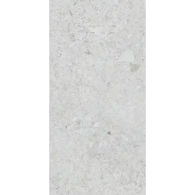 Photo des carreaux en porcelaine VENEZIA MAT GRIS 60x120 CM