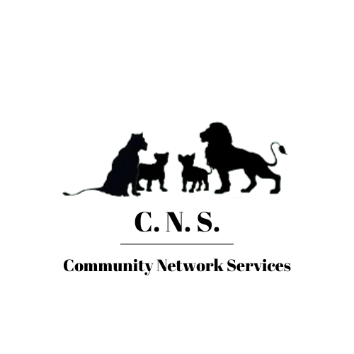 eie_noWords_3colors_new_1 (1).png