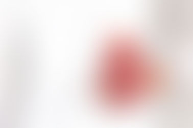 腎臓 2
