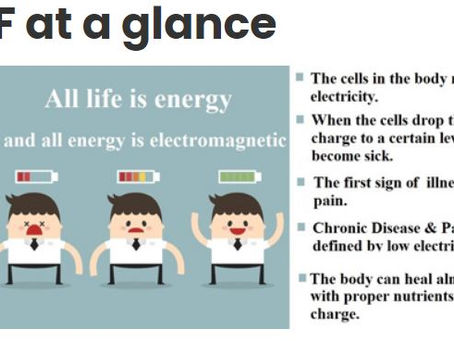 PEMF Therapy (パルス電磁場療法)