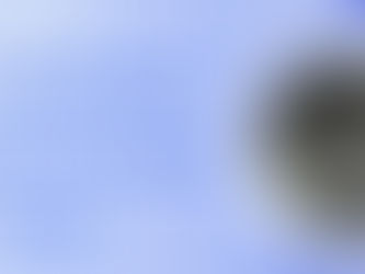 分子スカラー(Molecular Scalar)