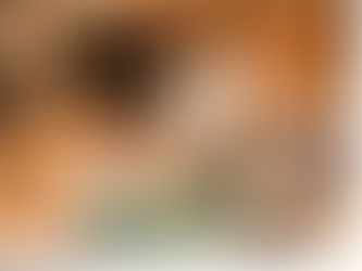 次のコロナウイルス?