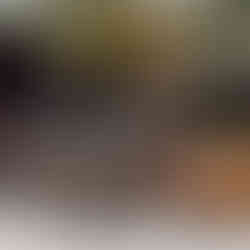 Two women stand beside mountain bike parking log , placing helmets on handle bars, in a sunny garden with greenery in background. Mood is relaxed and outdoorsy.