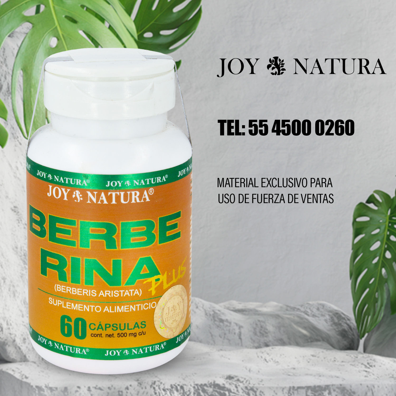 BERBERINA PLUS 60 CÁPSULAS