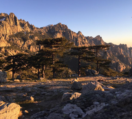 Les Aiguilles de Bavella : Un site grandiose à découvrir lors de votre prochain voyage en Corse