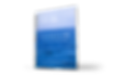 OVERFLOW: A 100-DAY SELF-DISCOVERY JOURNAL BY JANET LYN BOSWELL, BA, CTRC