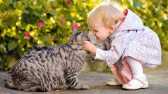 How to Teach Young Children to Interact with Kittens: A Guide for Families