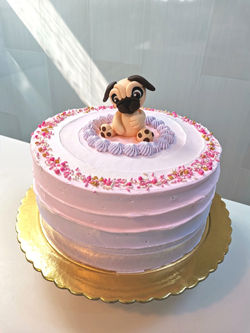 Pug