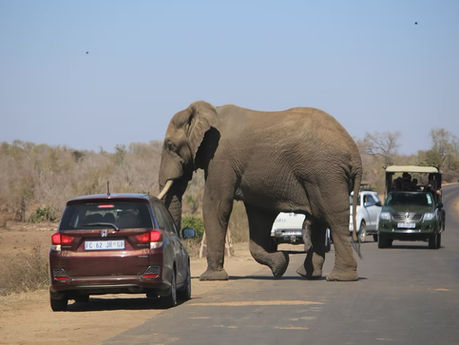 Serious use of AI: why 95% remains superficial and how you can change that