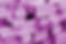 bubbles 1.jpg