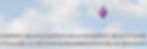 birds-on-a-wire.jpg