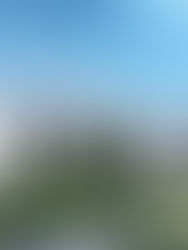 "גרינסייד" בבת ים: ההזדמנות הגדולה שלכם לשנה החדשה