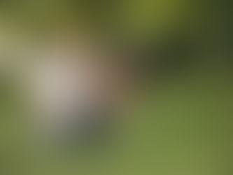 בת ים לא מה שהכרתם. גרינסייד לא מה שציפיתם.